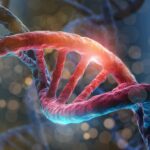 צריכת אנטי אוקסידנטים לפני בדיקת CT מצמצמת נזק תאי כתוצאה מחשיפה לקרינה